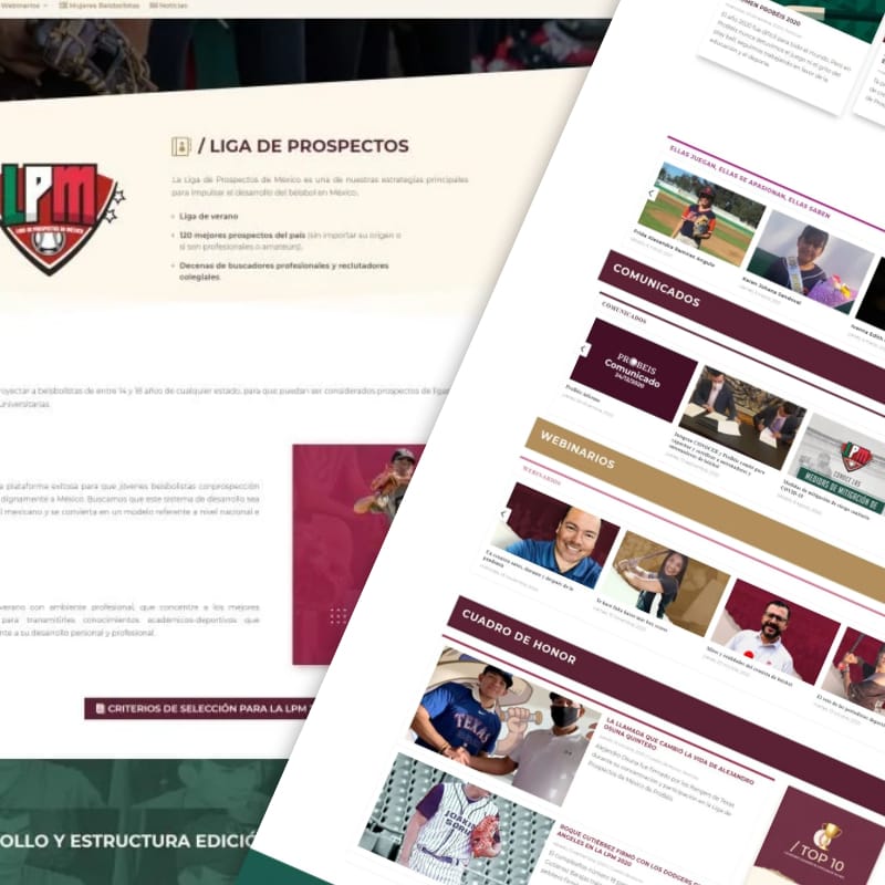 Proyecto destacado de portafolio 3 desmanes